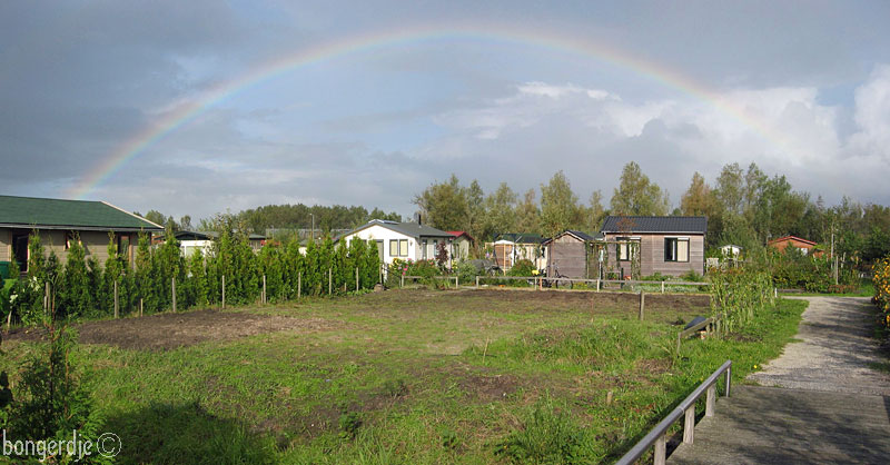 zwarte goud