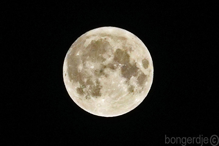 Bongerd supermaan
