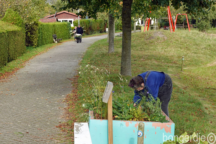 Bongerd beplanten betonbak voor komend seizoen