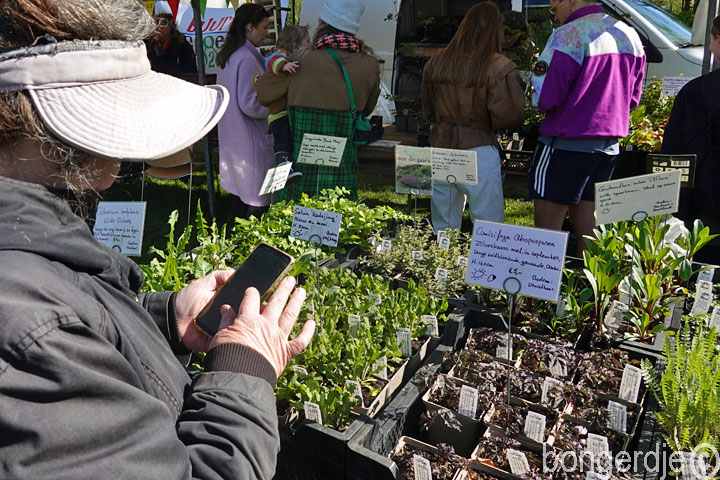  stekjesmarkt Buiksloterkerk plantjes info googelen 
