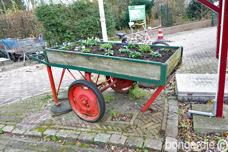  plantenkar gaat bijna om 