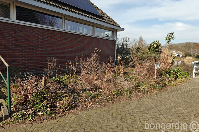  winkeltuin opschonen 