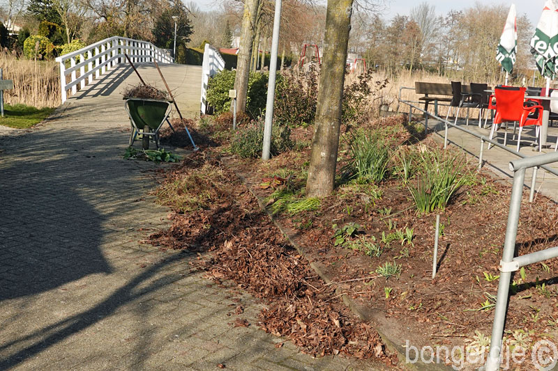  terrastuin opschonen 