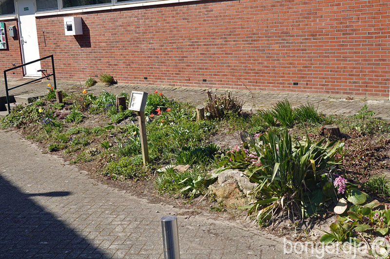  winkeltuin opgeschoond 