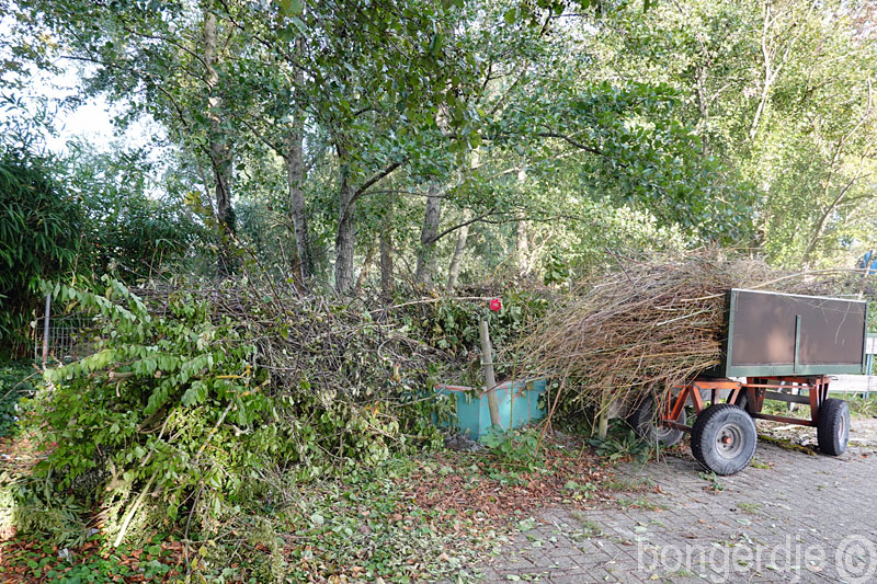   zeer veel te hakselen 