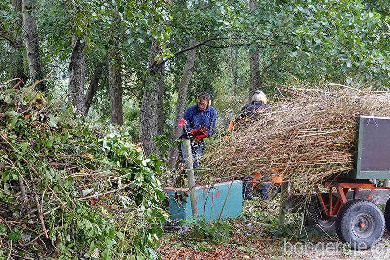   zeer veel te hakselen 