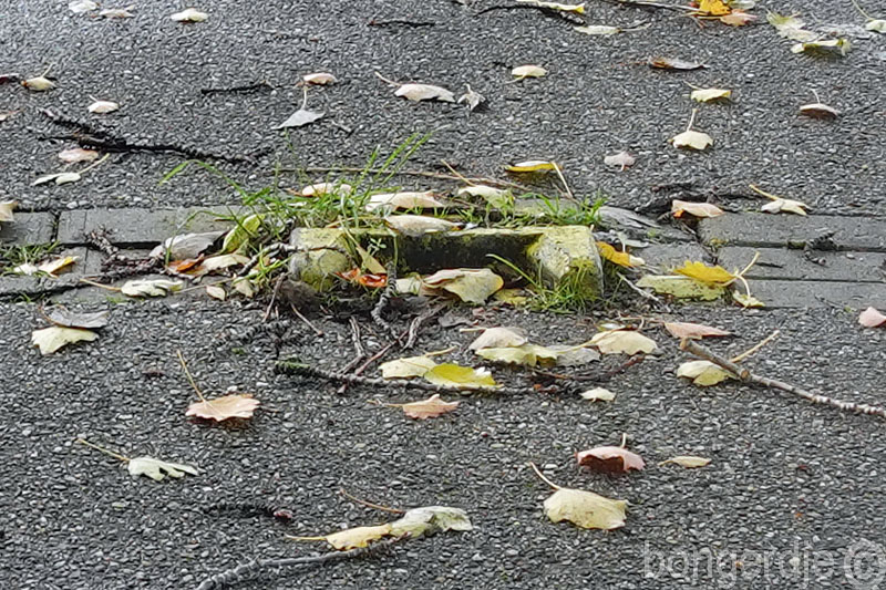  struikelsteen op de Bongerd 