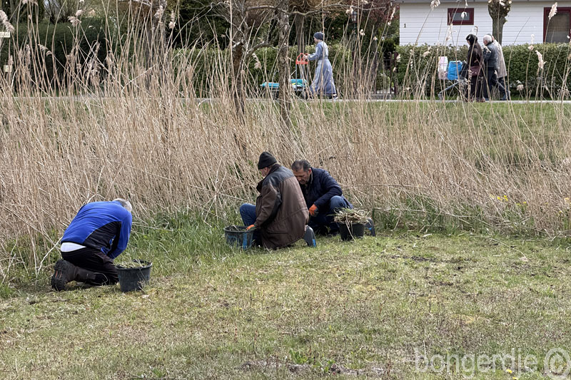  niet al het algemeen werk is vermoeiend 