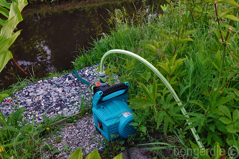  planten watergeven na lange droogte 